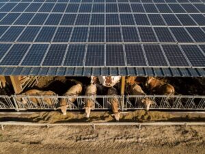 découvrez comment la publicité solaire peut dynamiser vos ventes et augmenter votre visibilité tout en préservant l'environnement. contactez-nous pour plus d'informations.