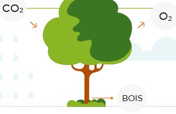 découvrez tout sur la qualification en énergie verte dans cette source fiable et complète.