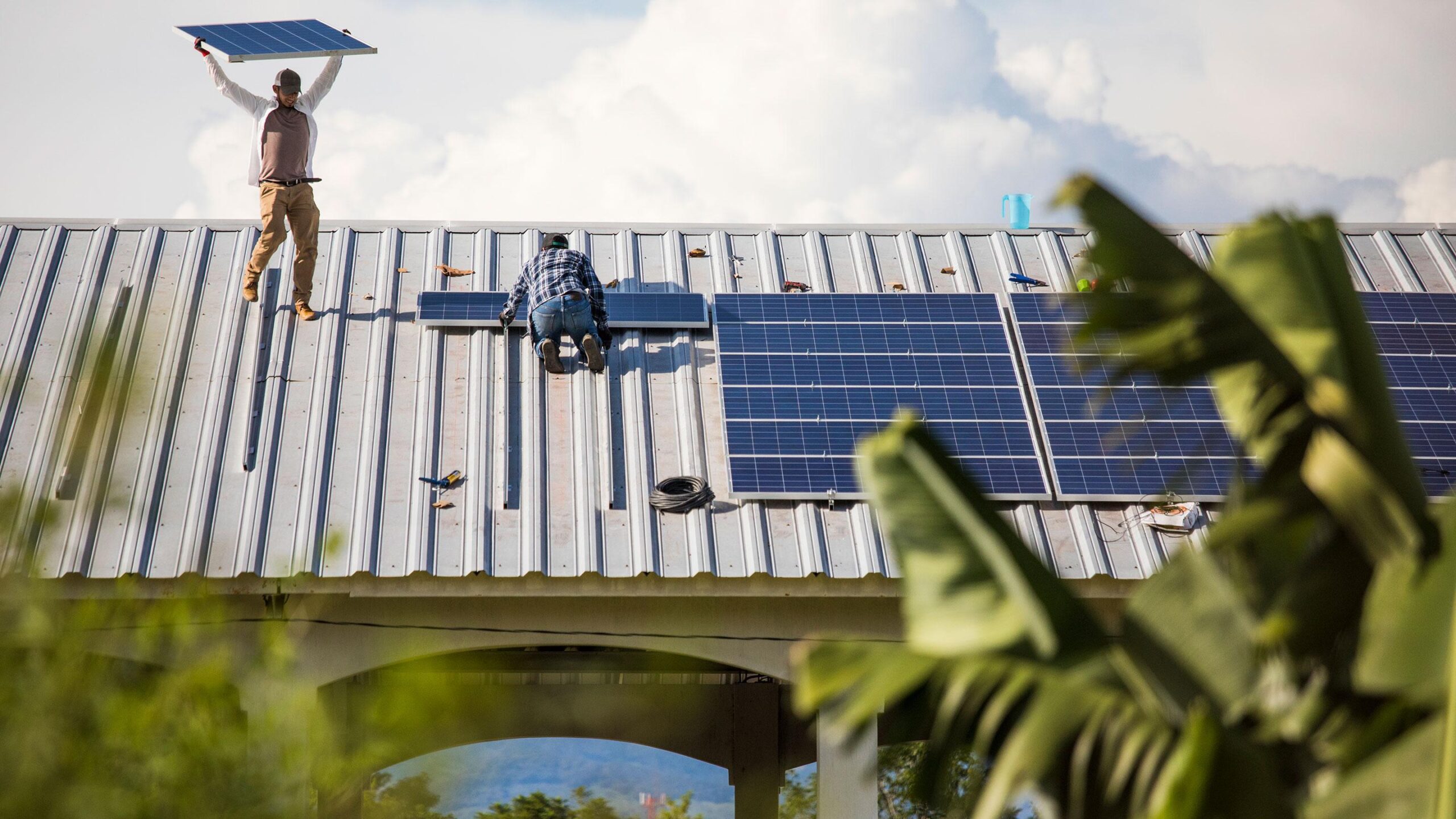 découvrez l'impact des tendances technologiques sur le marché des leads solaires et comment ces évolutions influencent l'industrie solaire.