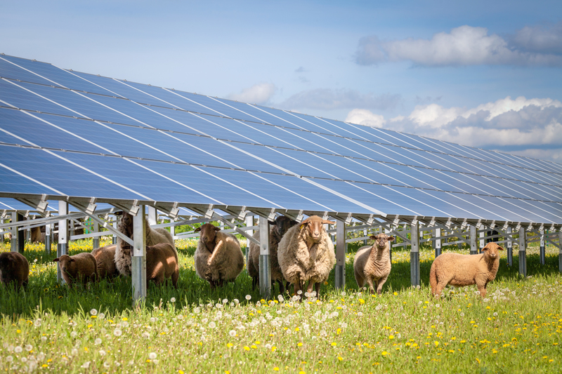 découvrez nos leads solaires performants pour une énergie propre et efficace. optez pour des solutions durables et économiques pour votre maison ou entreprise.