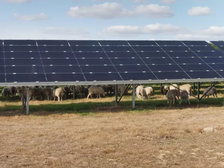 découvrez nos solutions pour maximiser les leads dans le secteur de l'énergie solaire et augmenter votre activité commerciale.