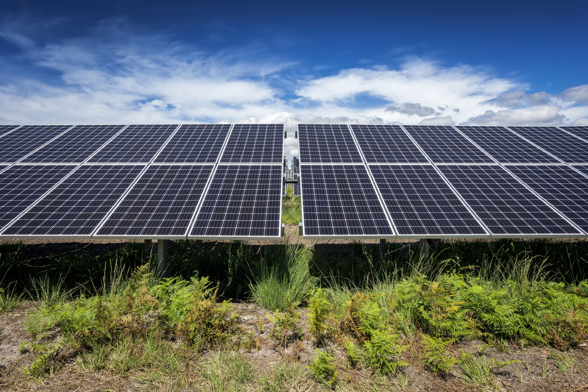 optimisez votre prospection de panneaux photovoltaïques avec nos solutions efficaces et innovantes pour développer votre activité dans le domaine de l'énergie solaire.