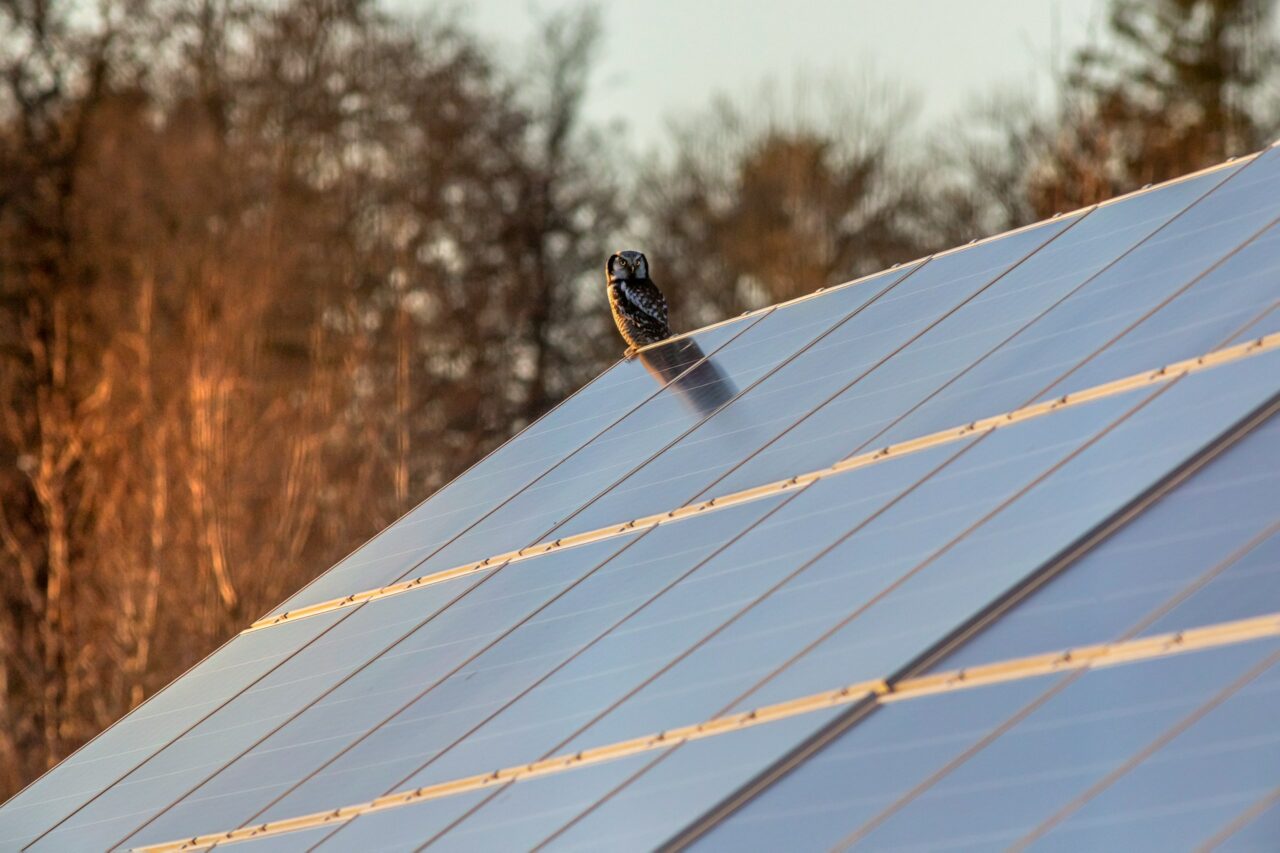 découvrez la révolution du marketing des panneaux solaires et apprenez comment cette technologie innovante contribue à changer notre façon de consommer de l'énergie.