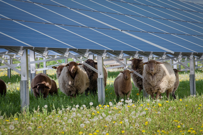 découvrez comment optimiser la croissance de vos leads dans le secteur solaire grâce à des stratégies innovantes et des outils performants. maximisez votre visibilité et attirez davantage de clients potentiels intéressés par l'énergie solaire.