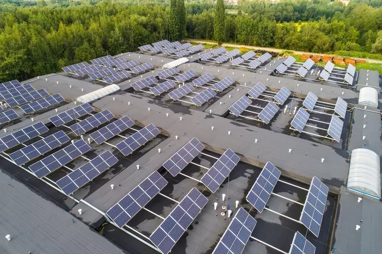 découvrez comment les leads solaires à amiens façonnent l'avenir énergétique de la région. optimisez votre transition énergétique avec des solutions durables et innovantes pour un environnement plus vert.