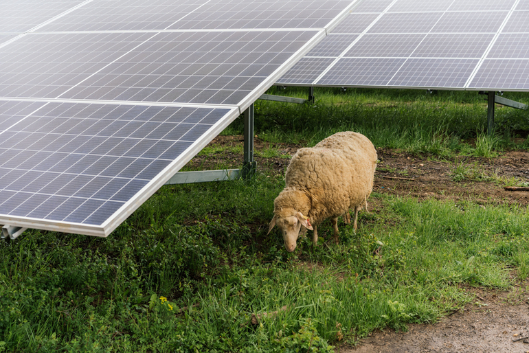 découvrez comment la communication photovoltaïque optimise la production d'énergie renouvelable et réduit la consommation énergétique. apprenez les dernières innovations en matière d'énergie solaire et leur impact sur l'efficacité énergétique.