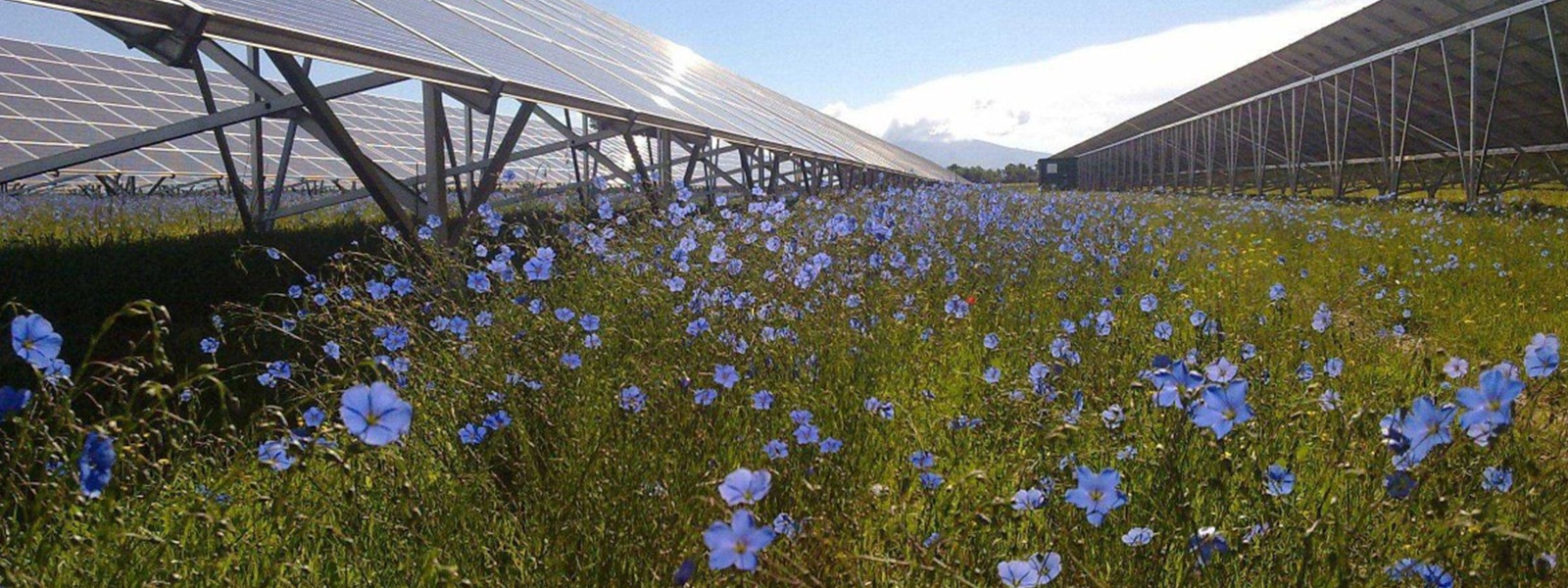 découvrez comment investir dans les énergies renouvelables pour un avenir durable. profitez des opportunités financières tout en contribuant à la protection de notre planète. informez-vous sur les meilleures pratiques et les tendances du marché des énergies vertes.