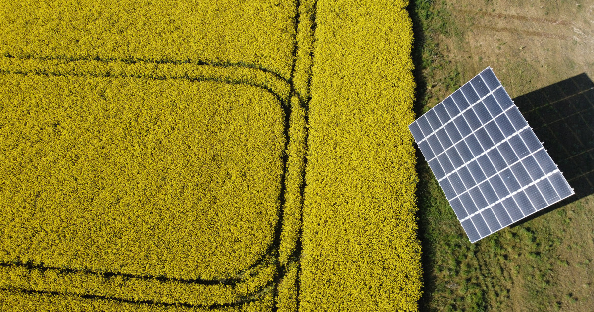 découvrez des solutions innovantes pour générer des leads solaires à amiens. maximisez vos opportunités commerciales dans le secteur des énergies renouvelables grâce à nos stratégies ciblées et efficaces. rejoignez le mouvement vers une énergie propre !