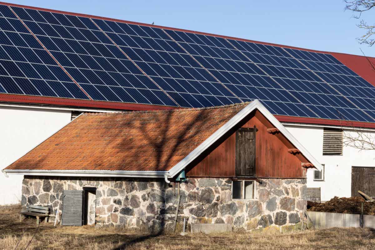 découvrez comment les panneaux solaires peuvent améliorer la rentabilité de votre investissement. informez-vous sur les avantages économiques, les subventions disponibles et les économies d'énergie générées par l'installation de panneaux solaires.