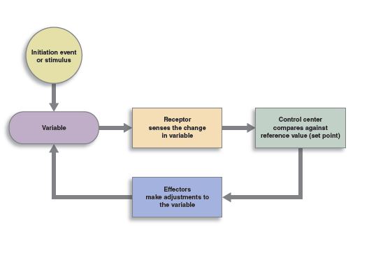 découvrez comment le retour d'expérience des participants peut transformer vos formations en améliorant l'acquisition de leads. optimisez vos stratégies grâce à des feedbacks pertinents et maximisez le succès de vos programmes de formation.