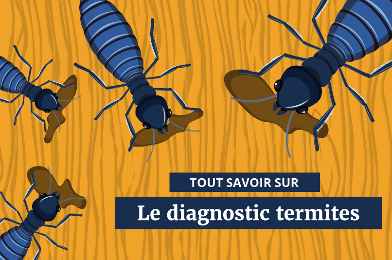 découvrez l'importance d'un diagnostic termites pour protéger votre maison des infestations. nos experts vous offrent des solutions fiables et efficaces pour préserver votre patrimoine immobilier.