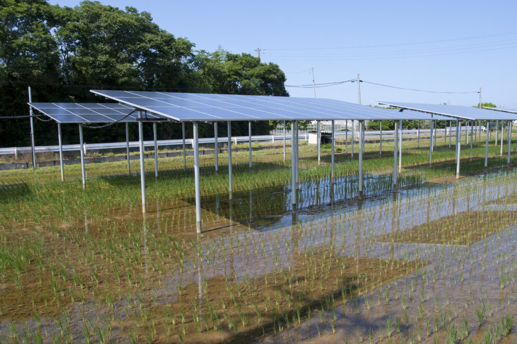 découvrez comment optimiser les panneaux photovoltaïques sur vos exploitations agricoles pour maximiser votre production d'énergie durable et réduire vos coûts. apprenez les meilleures pratiques et technologies pour rendre votre agriculture plus verte et rentable.