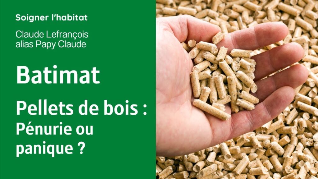 découvrez l'impact environnemental des granulés de bois sur la biodiversité et le climat. informez-vous sur les avantages et les inconvénients de cette source d'énergie renouvelable, ainsi que son rôle dans la réduction des émissions de carbone.