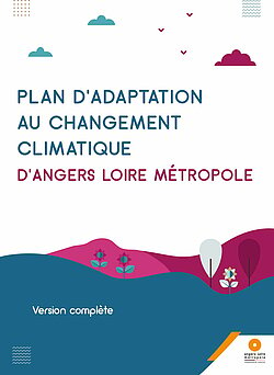 découvrez comment adapter vos fenêtres aux changements climatiques pour améliorer l'efficacité énergétique de votre maison tout en réduisant votre empreinte carbone. explorez des solutions innovantes et des conseils pratiques pour une meilleure isolation et un confort optimal.