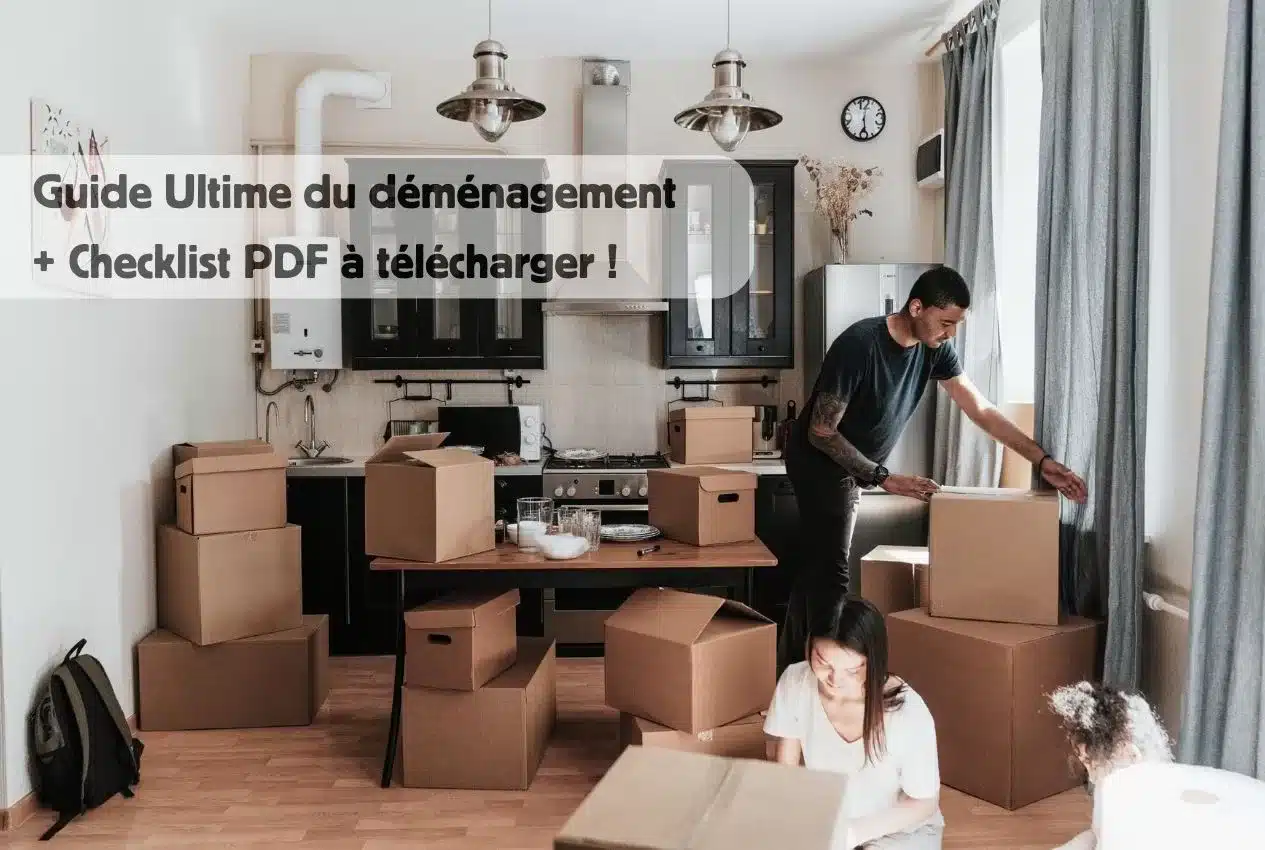 anticiper les demandes de déménagement est essentiel pour un déménagement serein et organisé. découvrez nos conseils pratiques pour prévoir vos besoins, gérer les imprévus et faciliter votre transition vers votre nouvelle maison.