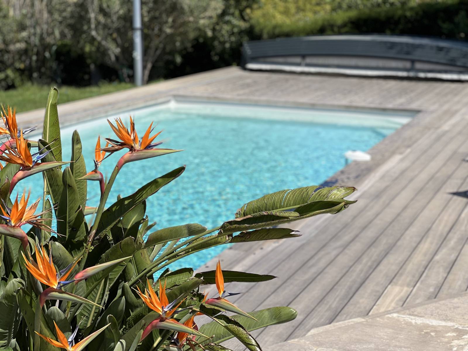 découvrez comment attirer efficacement des clients pour votre abri piscine grâce à des stratégies marketing adaptées. maximisez votre visibilité et transformez les passionnés de baignade en clients fidèles.