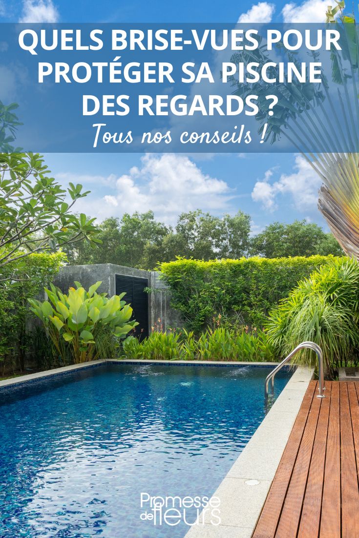 découvrez comment attirer efficacement des clients pour votre mini piscine grâce à des stratégies innovantes et des conseils pratiques. maximisez votre visibilité et boostez vos ventes dès aujourd'hui !