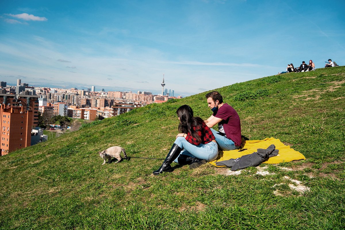 découvrez les meilleures attractions pour les passionnés de nature et d'aventure dans la manche. explorez des sites uniques qui vous permettent d'attirer des leads tout en vous isolant dans des paysages à couper le souffle. parfait pour ceux qui recherchent une escapade tranquille et inspirante!