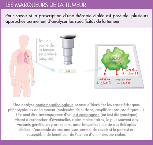 découvrez le ciblage thérapeutique, une approche innovante en médecine qui permet de personnaliser les traitements en fonction des caractéristiques spécifiques des patients. optimisez l'efficacité des soins tout en minimisant les effets secondaires grâce à des stratégies ciblées et adaptées.