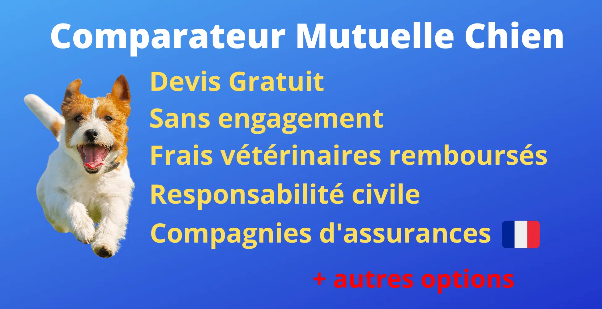 découvrez notre comparateur d'assurances mutuelles pour trouver la couverture santé qui convient le mieux à vos besoins et à votre budget. comparez les offres, économisez sur vos cotisations et protégez votre santé de manière efficace.