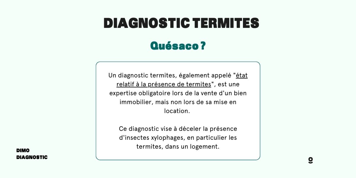 découvrez l'importance d'un diagnostic termites préventif pour protéger votre habitat. assurez la sécurité de votre bien immobilier en détectant les infestations avant qu'elles ne causent des dommages irréversibles. faites appel à des professionnels pour un traitement préventif efficace.