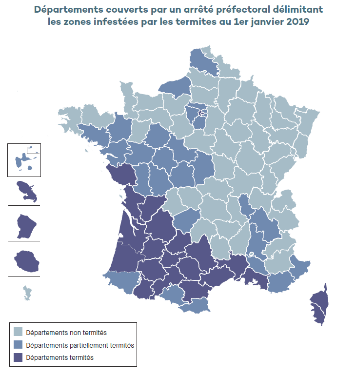 assurez la protection de votre maison avec un diagnostic termites préventif. découvrez les étapes essentielles pour identifier les risques et prévenir les infestations. protégez votre patrimoine dès aujourd'hui.