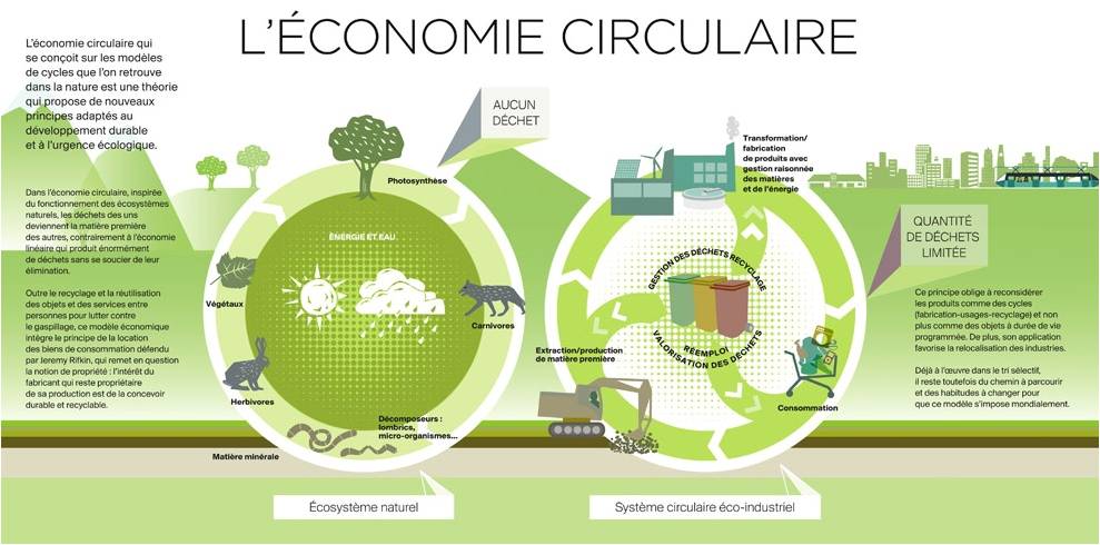 découvrez comment l'économie circulaire transforme le secteur de l'assurance en générant des leads durables. apprenez des stratégies innovantes pour intégrer des pratiques écologiques tout en maximisant votre rentabilité.