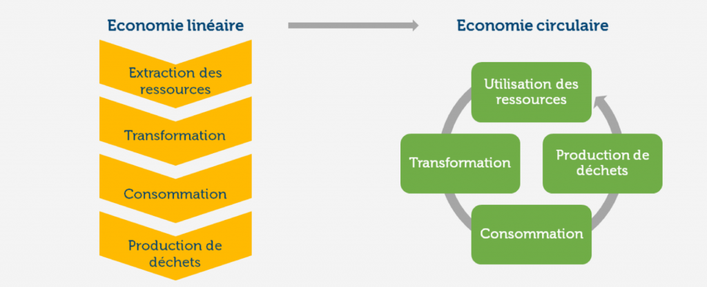 découvrez comment l'économie circulaire peut transformer le secteur des assurances en générant des leads qualifiés. explorez des stratégies innovantes pour allier durabilité et performance commerciale, tout en répondant aux enjeux environnementaux actuels.