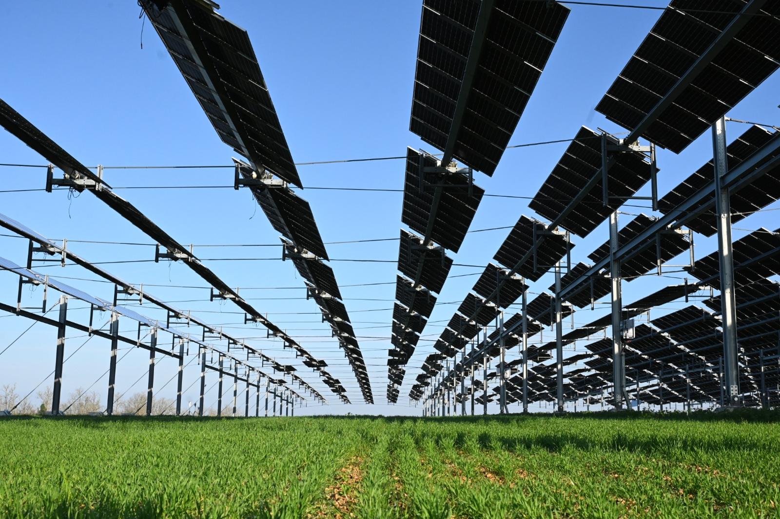 découvrez comment l'énergie solaire transforme l'agriculture en offrant des solutions durables et économiques. maximisez vos rendements tout en réduisant votre empreinte carbone grâce à des technologies innovantes qui allient écologie et économie.