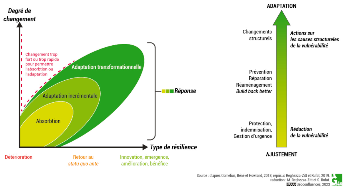 découvrez comment le changement climatique influence les prix des granulés de bois. analyse des facteurs économiques et environnementaux qui impactent votre budget tout en faisant face aux défis écologiques.