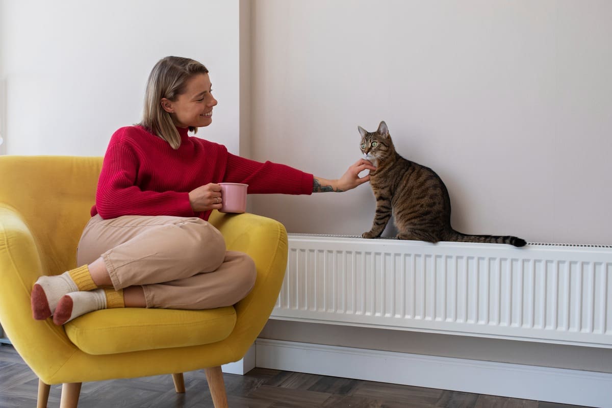 découvrez les inconvénients des radiateurs à inertie : coût d'achat élevé, temps de chauffe prolongé et consommation énergétique variable. informez-vous pour choisir le chauffage adapté à vos besoins.