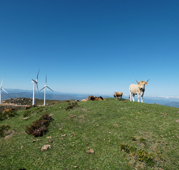 découvrez comment investir dans les énergies renouvelables pour un avenir durable. profitez d'opportunités d'investissement qui non seulement favorisent la croissance écologique, mais offrent également des rendements financiers attractifs. explorez les tendances du marché, les technologies innovantes et les bénéfices économiques liés aux énergies vertes.