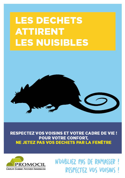 découvrez comment identifier et éliminer les nuisibles qui se glissent par vos fenêtres. protégez votre maison des insectes et rongeurs avec nos conseils pratiques et efficaces.