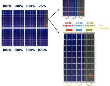 découvrez comment onduler efficacement vos stratégies marketing pour optimiser la génération de leads photovoltaïques. augmentez votre visibilité et convertissez davantage de prospects en clients grâce à des techniques innovantes et adaptées à votre secteur.