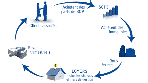 découvrez comment optimiser votre patrimoine grâce aux sociétés civiles de placement immobilier (scpi). maximisez vos investissements immobiliers avec des stratégies adaptées pour améliorer votre rentabilité et diversifier votre portefeuille.