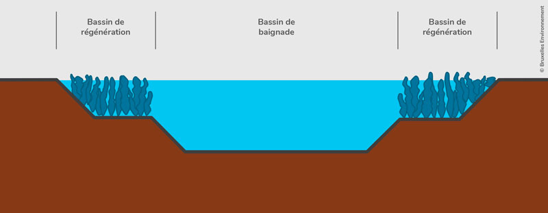 découvrez comment attirer des prospects pour votre piscine écologique. explorez des stratégies efficaces de marketing et des conseils pratiques pour mettre en avant les avantages environnementaux et économiques de votre piscine.