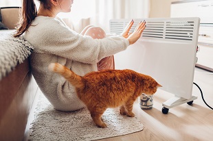 découvrez notre radiateur à inertie surdimensionné, idéal pour un confort thermique optimal dans votre intérieur. grâce à sa puissance supérieure, il chauffe rapidement et de manière homogène, tout en offrant des économies d'énergie exceptionnelles. parfait pour les grandes pièces, ce radiateur combine performance et élégance.