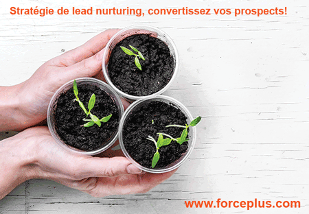 découvrez comment mettre en place une stratégie efficace de nurturing des leads cpf pour maximiser l'engagement et la conversion. apprenez à optimiser votre communication et à nourrir vos prospects tout au long de leur parcours d'achat.