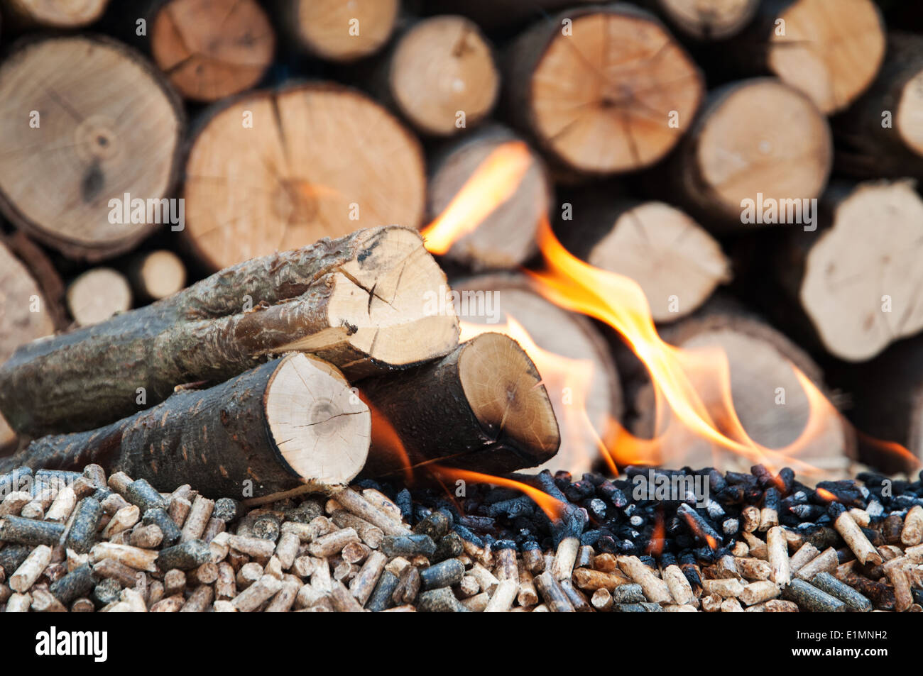 découvrez les différents types de granulés disponibles sur le marché. apprenez comment choisir le bon granulé pour votre chauffage, barbecue ou litière d'animaux, et explorez les avantages de chaque type pour répondre à vos besoins spécifiques.