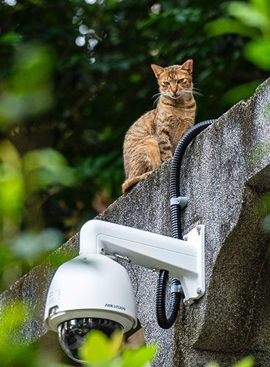 découvrez nos solutions de télésurveillance sans abonnement, idéales pour protéger votre domicile ou votre entreprise sans engagement financier. profitez d'une sécurité optimale avec des technologies avancées et un service fiable, tout en gardant votre budget maîtrisé.